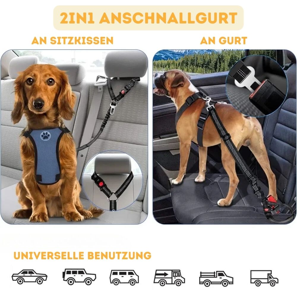 Anschnallgurt für Hunde - Schlauwiewau™