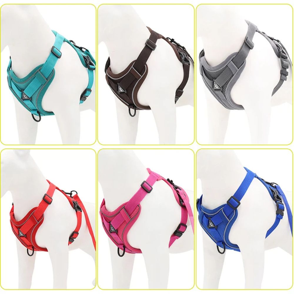 Das Hundegeschirr gibt es in den Farben türkis, schwarz, grau, rot, rosa und blau
