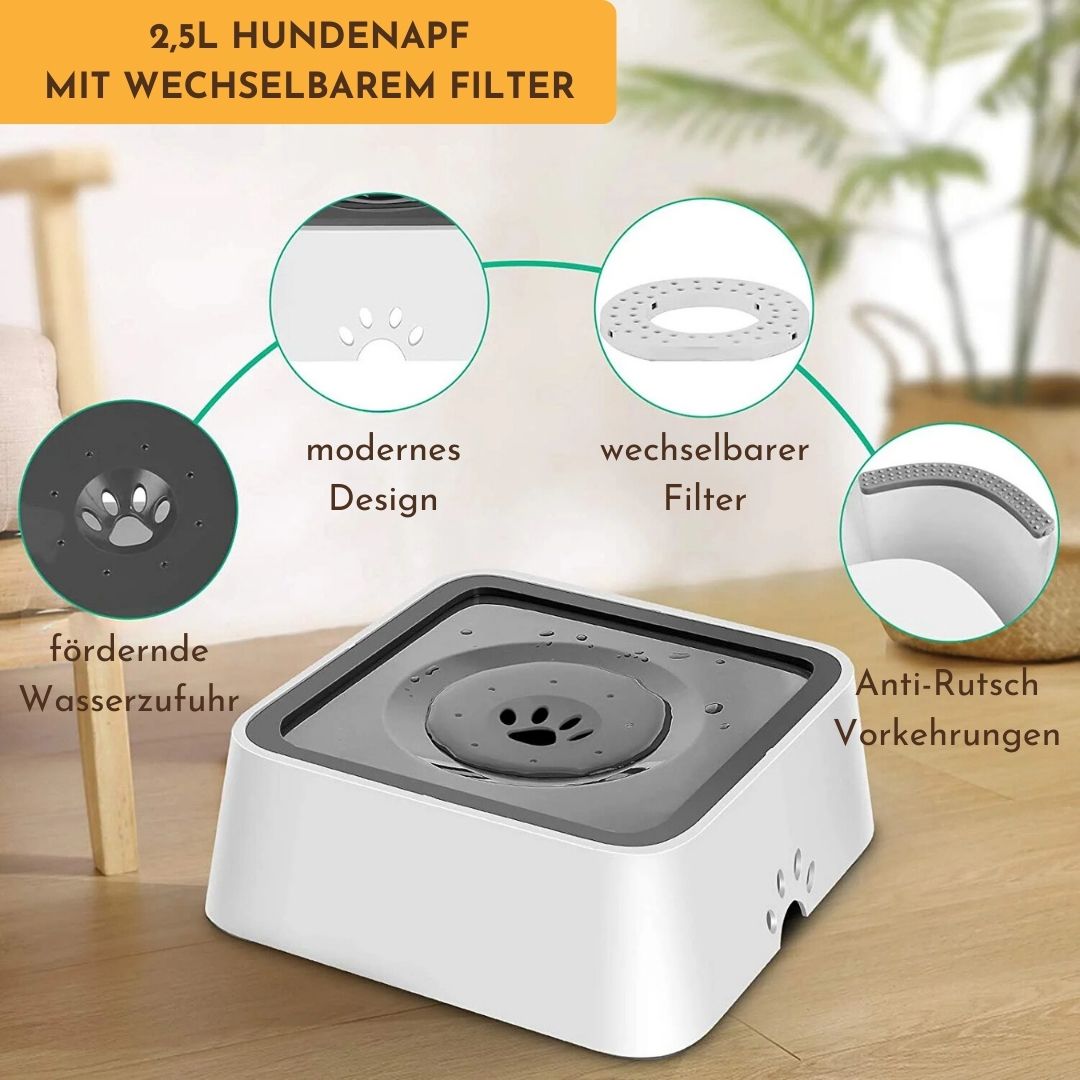 auslaufsicherer Premium Hundenapf Aqualock mit fördernder Wasserzufuhr, modernem Design, wechselbarem Filter und Anti-Rutsch-Vorkehrungen