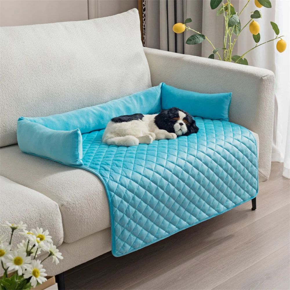 Das Hundebett in türkiser Farbe