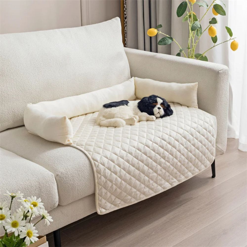 Das Hundesofa in weißer Farbe