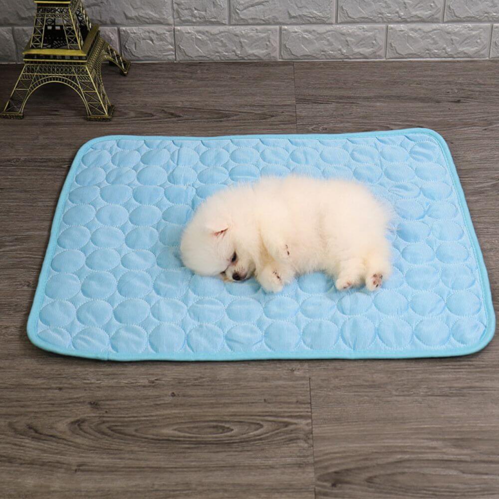 Ein kleiner Hund liegt auf der Kühlmatte für Hunde.