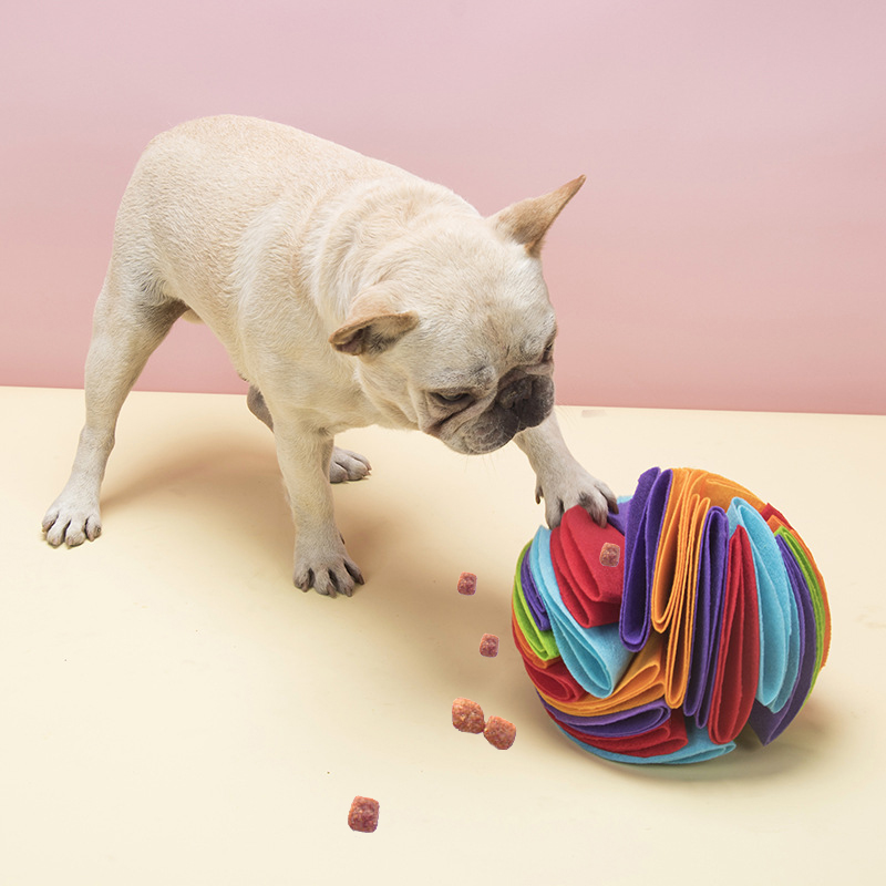 Hund spielt mit Schnüffelball