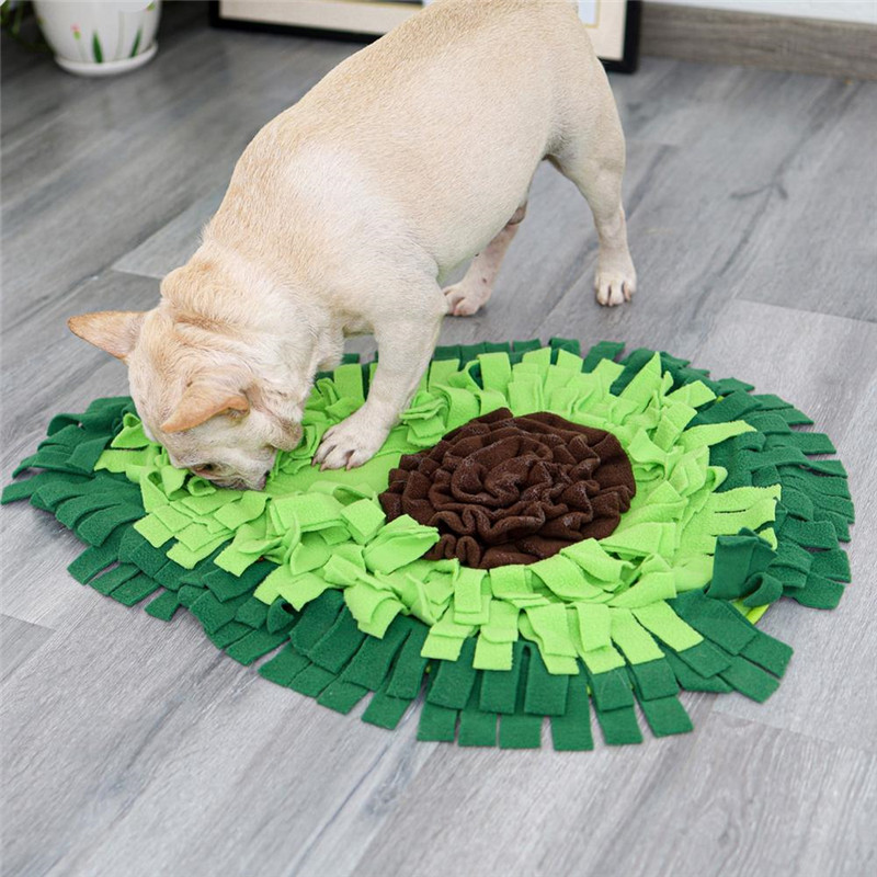 Schnüffelteppich für Hunde, Hund sucht Futter im Teppich