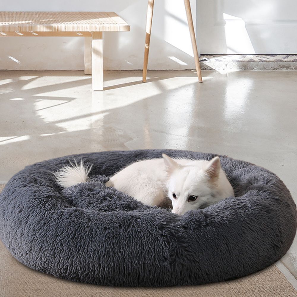 Hund liegt im originalen Wolke 7 Hundebett in der Farbe Dunkelgrau.