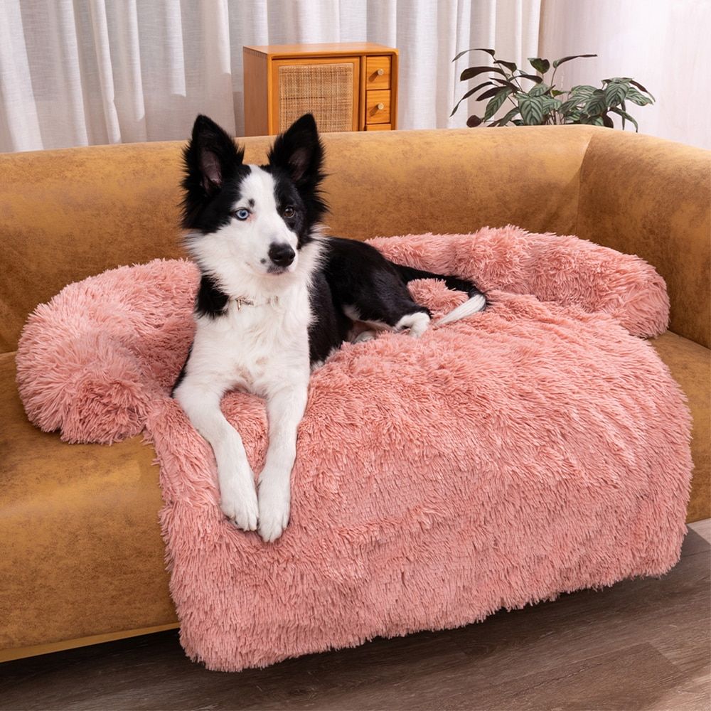 Hund liegt auf dem rosa Hundesofa